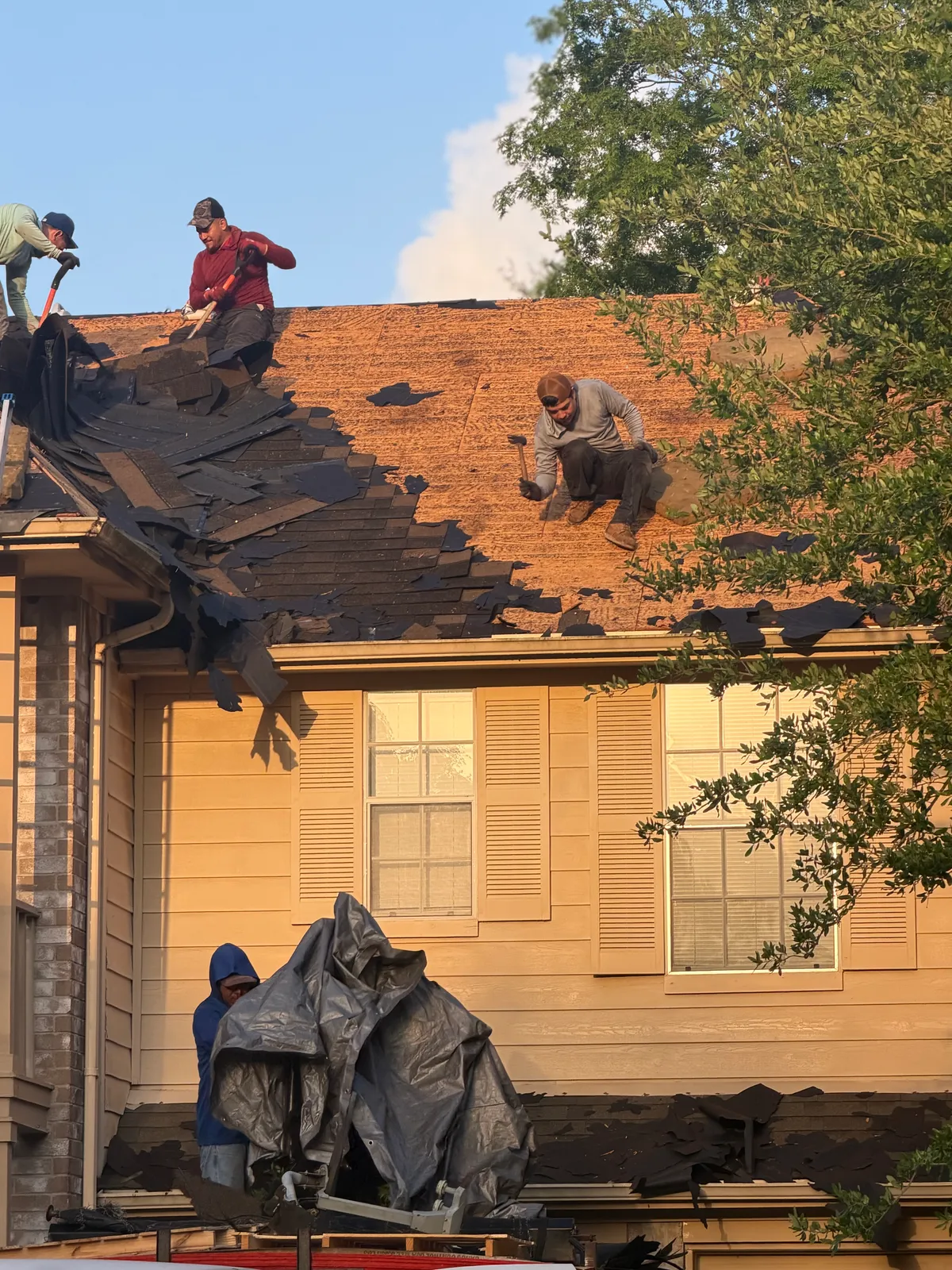 Roof Replacement